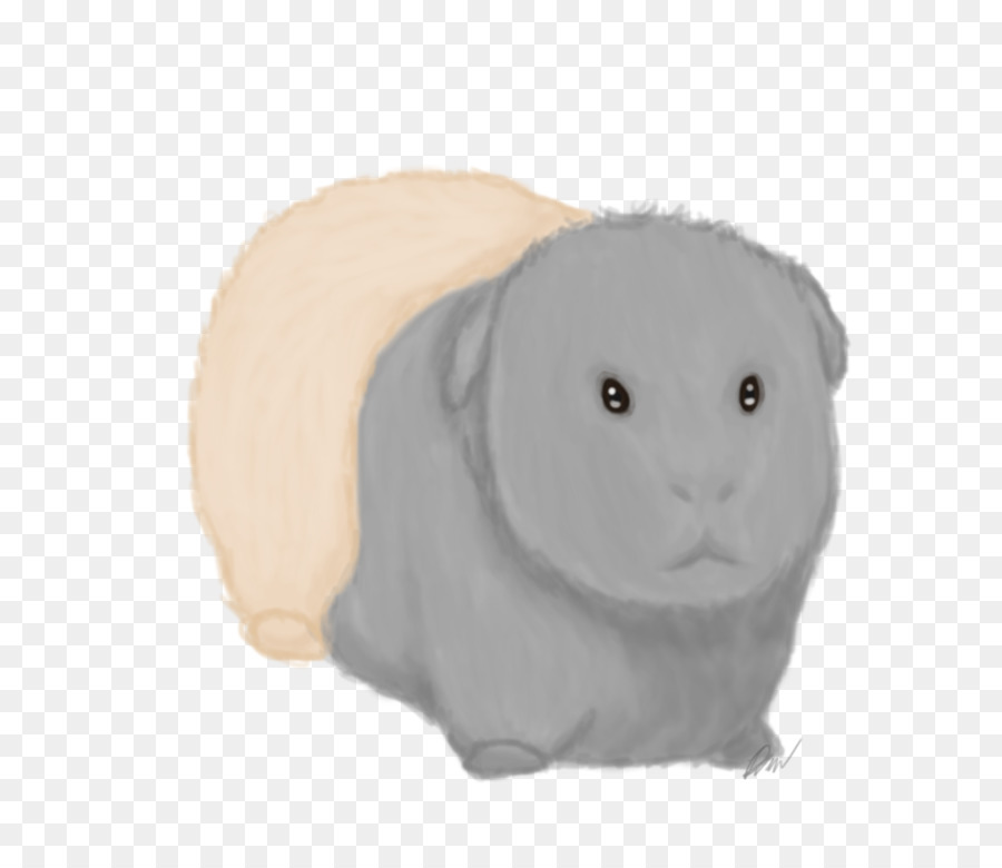 Coelhos，Lebre PNG