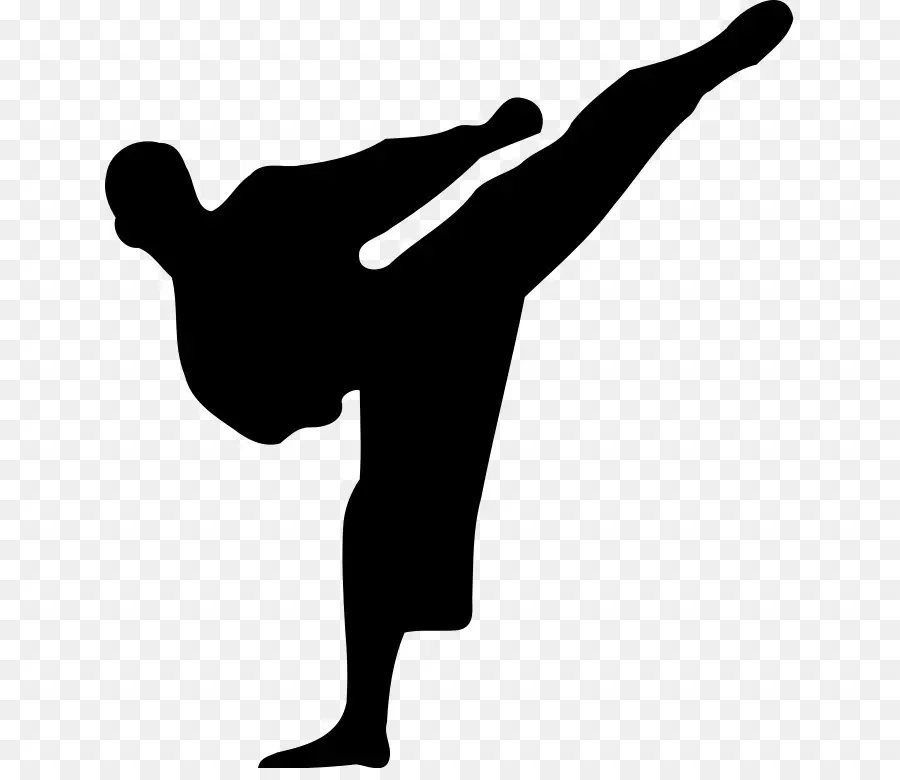 Silhueta De Karatê，Artes Marciais PNG