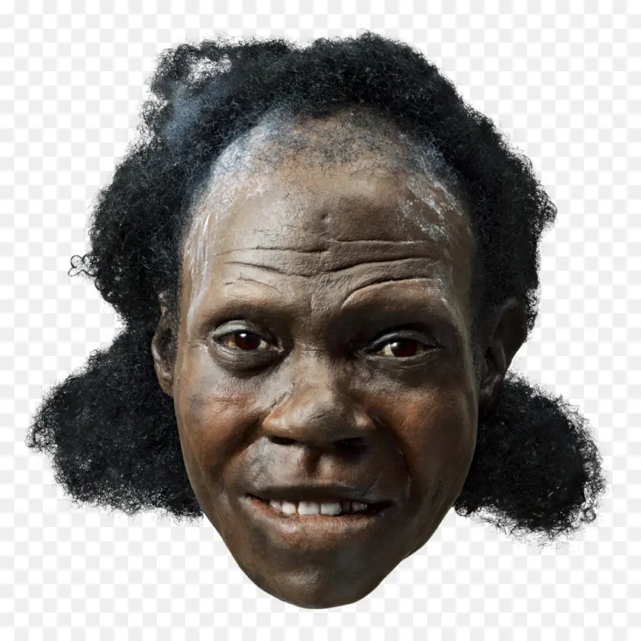 Humano Pré Histórico，Ancestral PNG