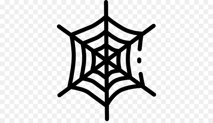 Teia De Aranha，Aranha PNG