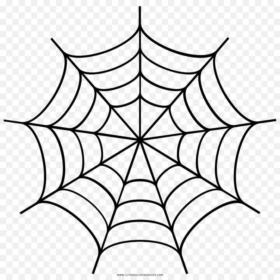 Aranha，Teia De Aranha PNG