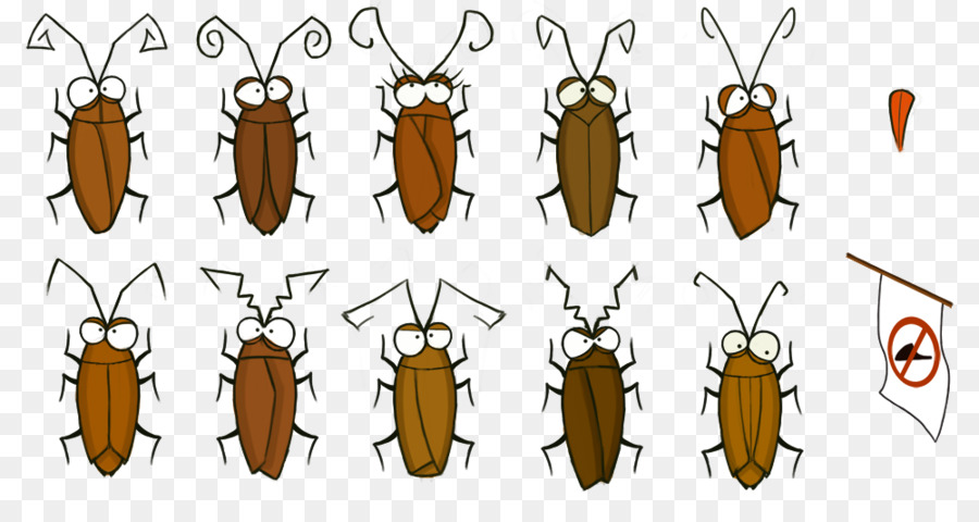 Besouro，Invertebrados PNG