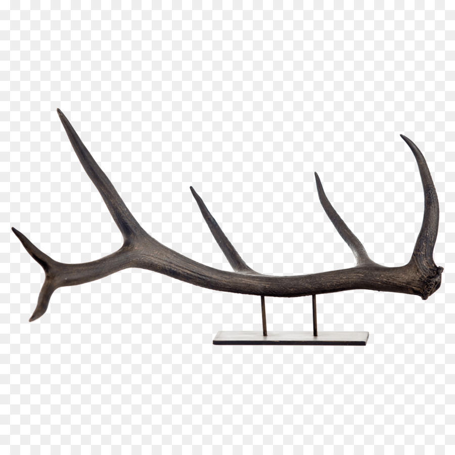 Elk，Antler PNG