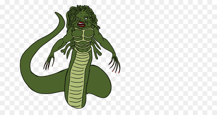 Inseto，Invertebrados PNG