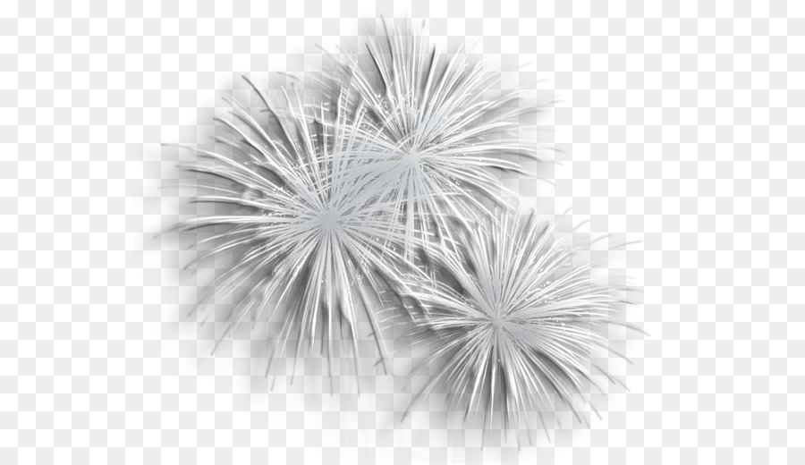 Fogos De Artifício, Preto E Branco, Fogo De Artifício png transparente  grátis