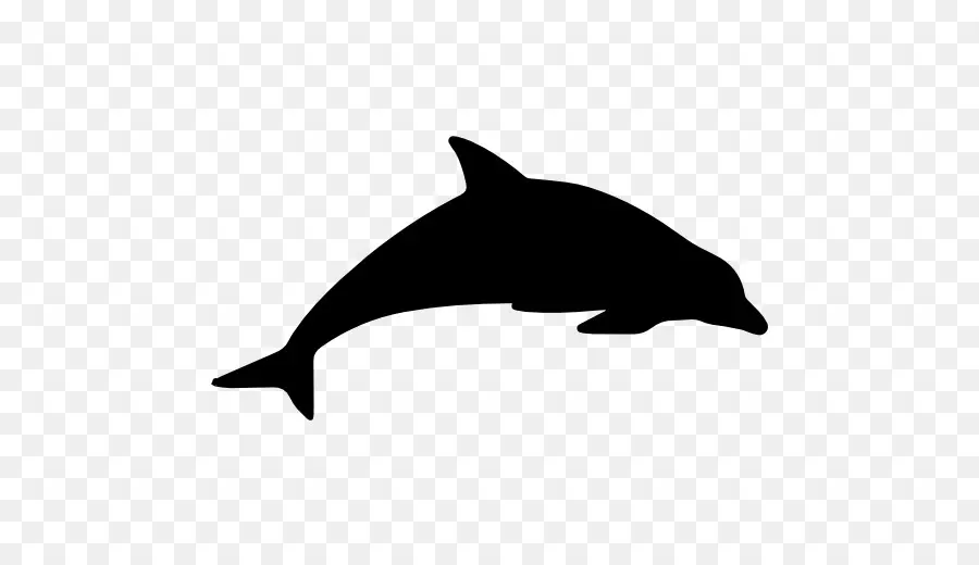Boto，Dolphin PNG
