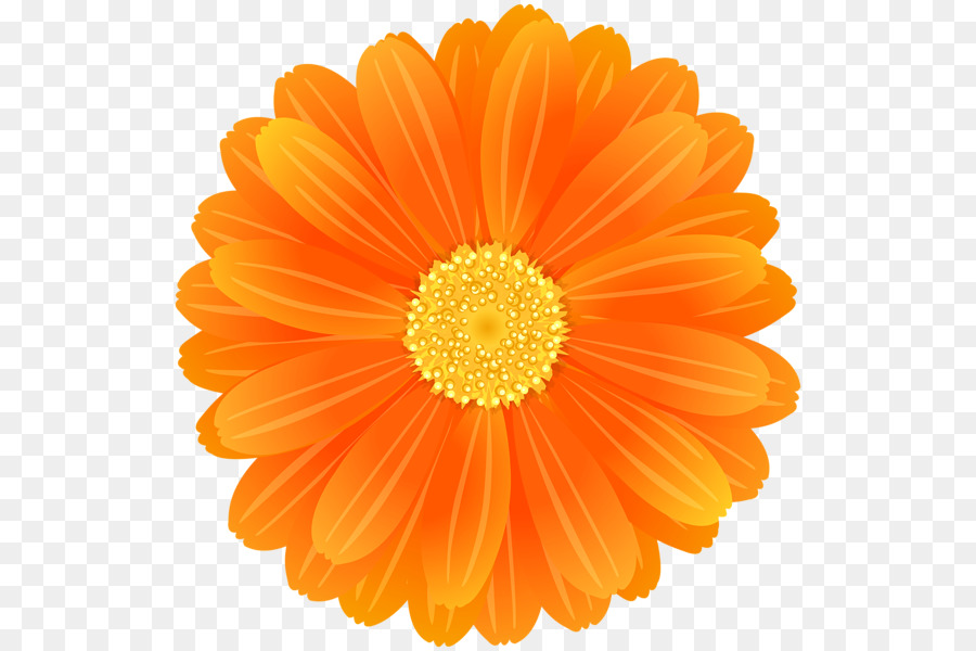 Flor，Florescer PNG