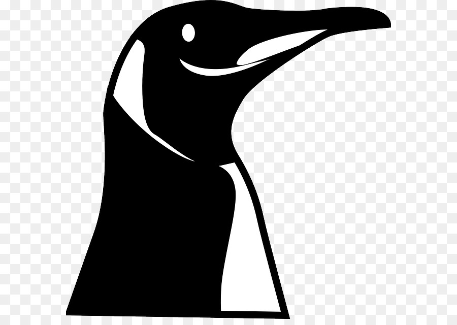 Pinguim，Pássaro PNG