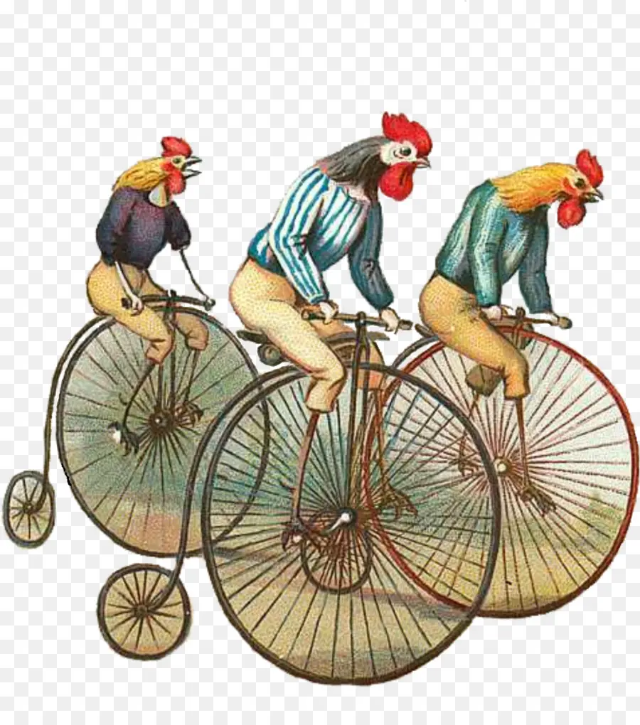 Galos Em Bicicletas，Bicicletas PNG