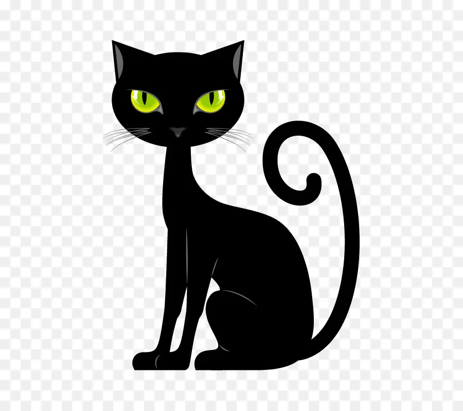 Gato Preto，Gato PNG