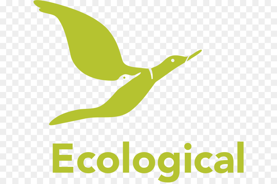 Ecologia，Design Ecológico PNG