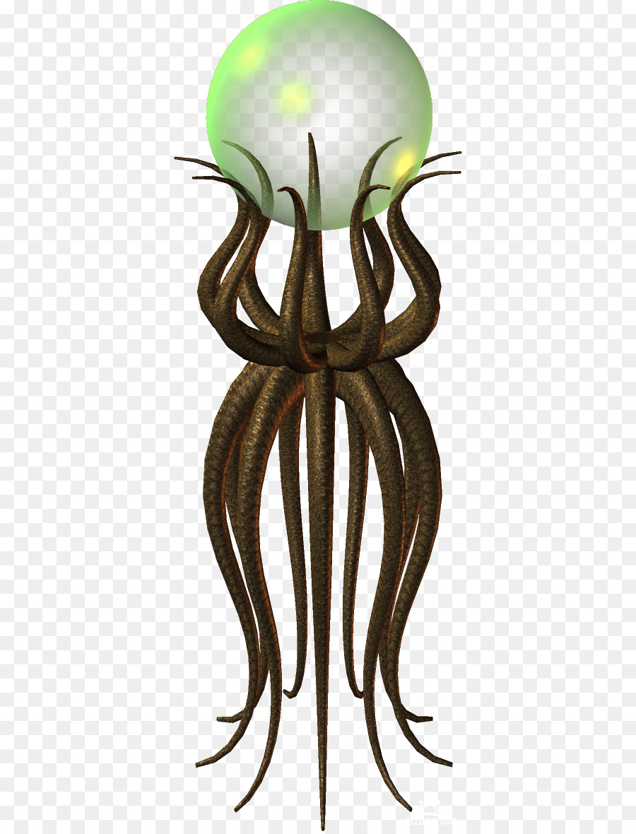 Polvo，Invertebrados PNG