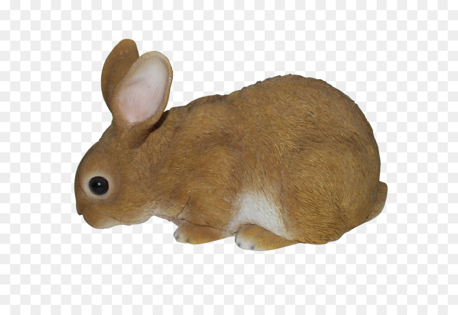 Lebre，Coelhos PNG