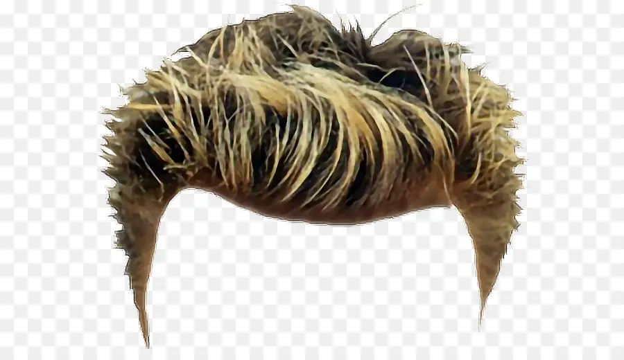 Peruca Loira，Cabelo PNG