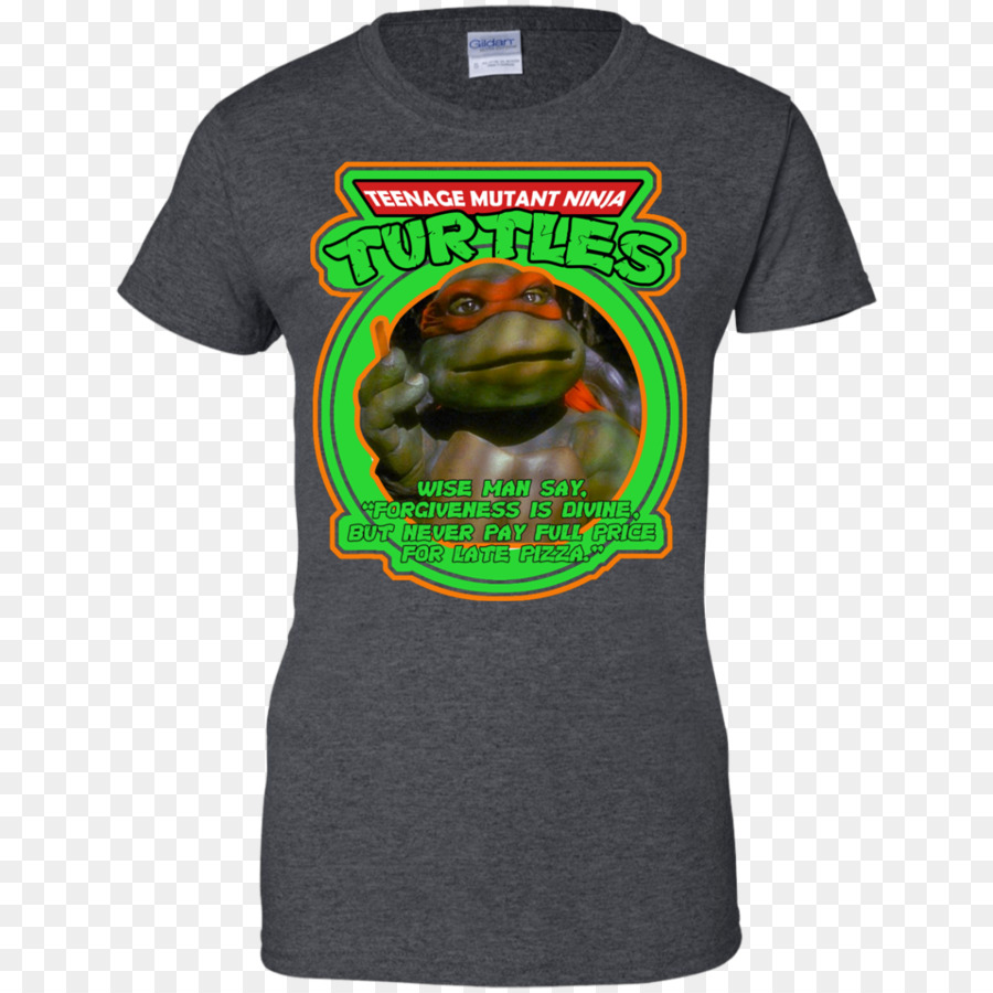 Tshirt，Capuz PNG