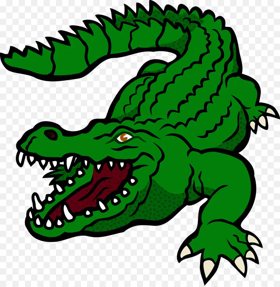 Crocodilo，Verde PNG