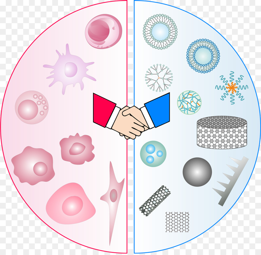 Aperto De Mão Com Células E Nanomateriais，Colaboração PNG