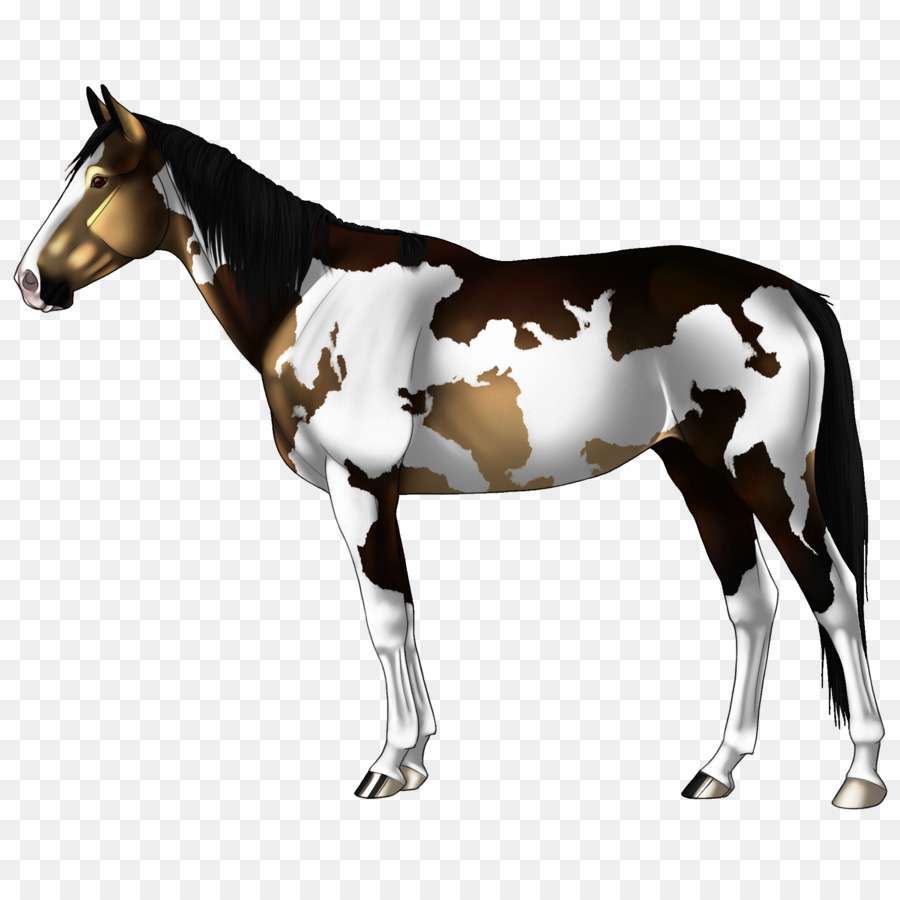 Cavalo Preto E Branco，Cavalo PNG