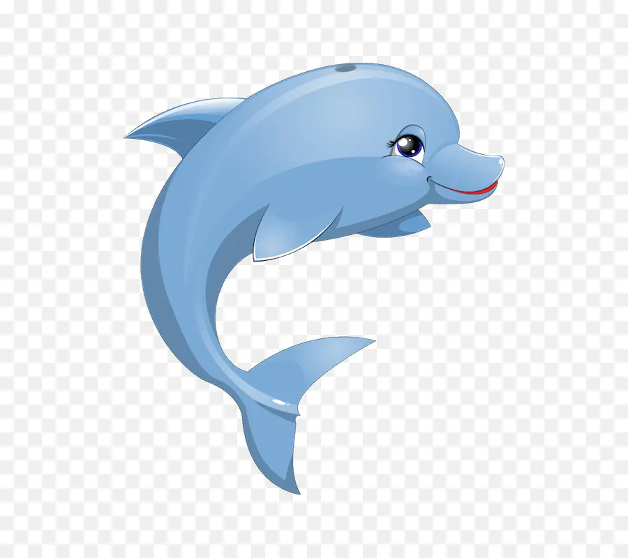 Dolphin，Animação PNG