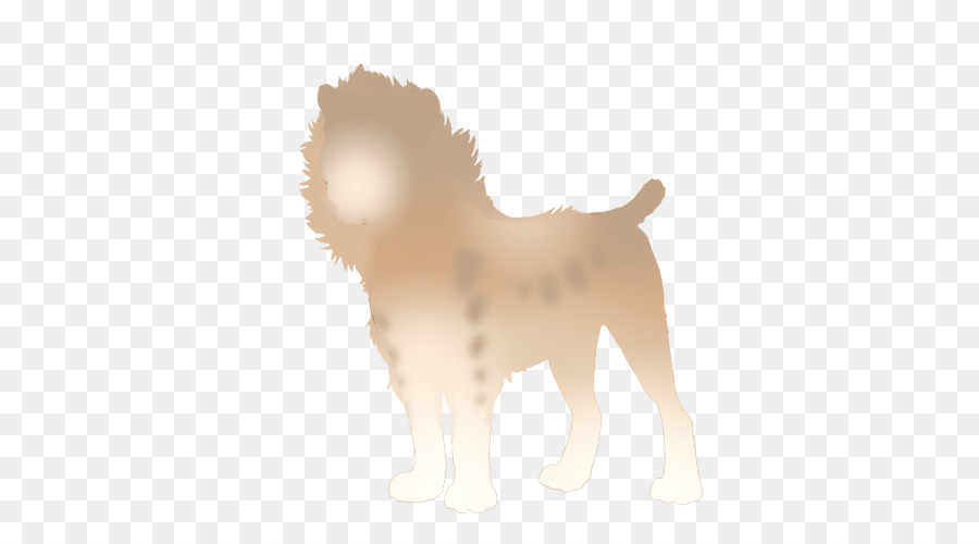 Cão，Gato PNG