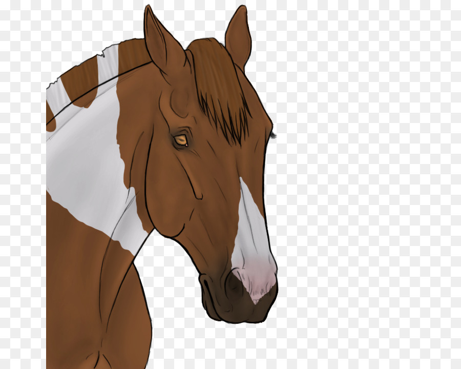 Cavalo De Desenho Animado，Cavalo PNG