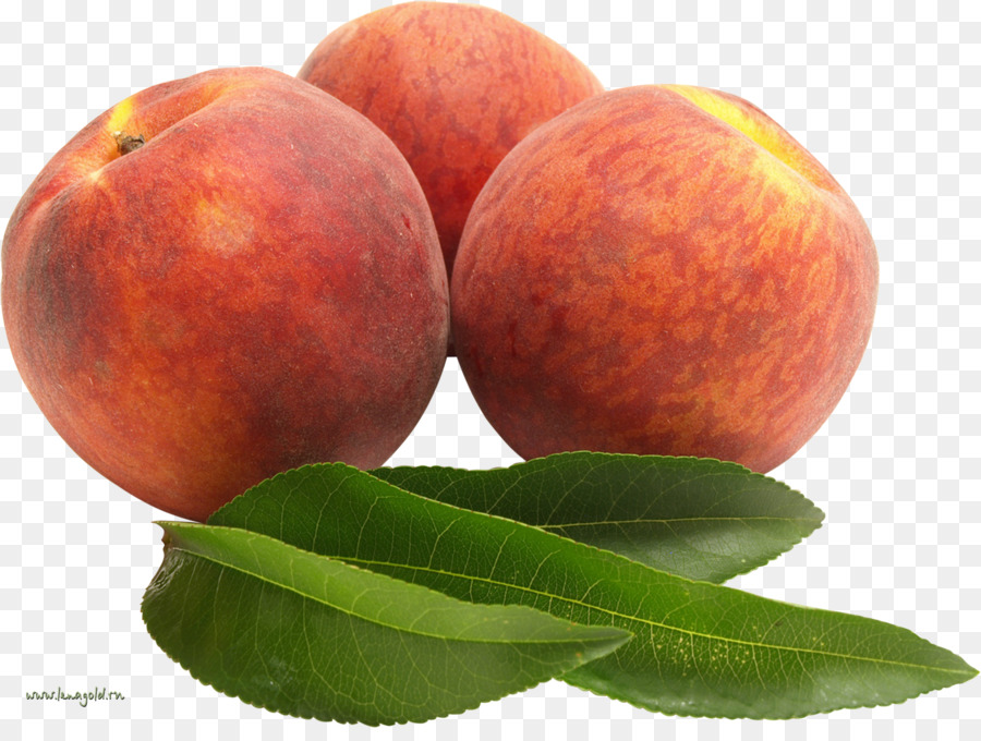 Nectarinas，Fresco PNG