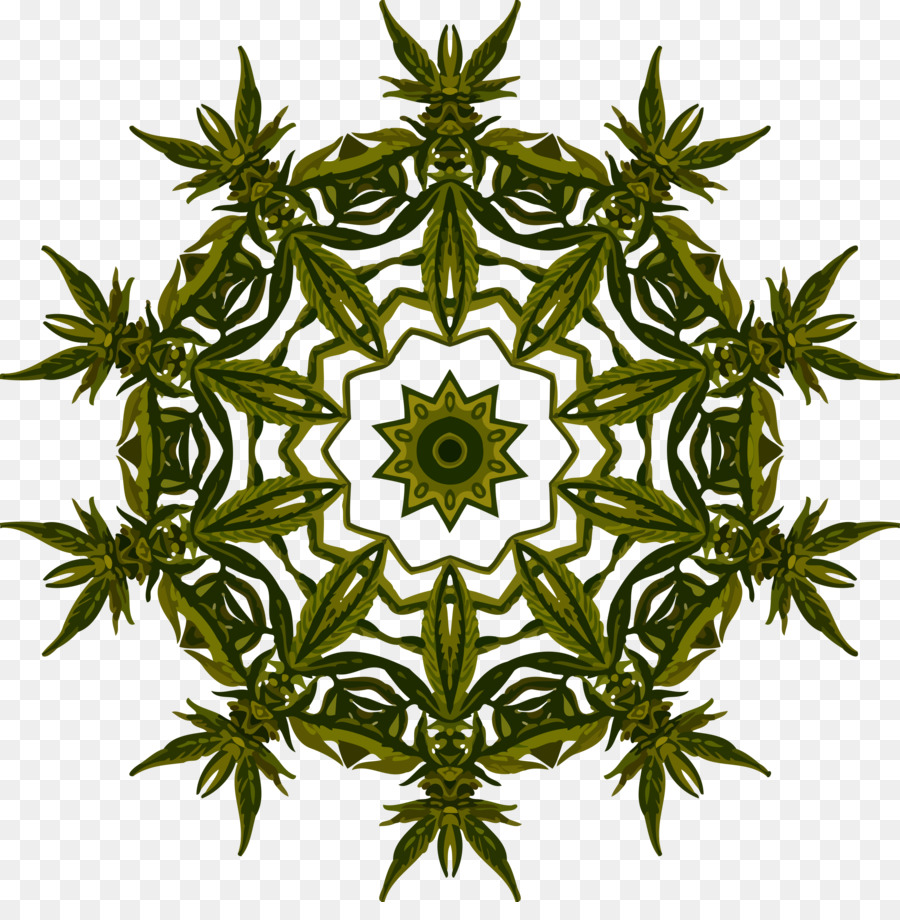 Planta，Natureza PNG