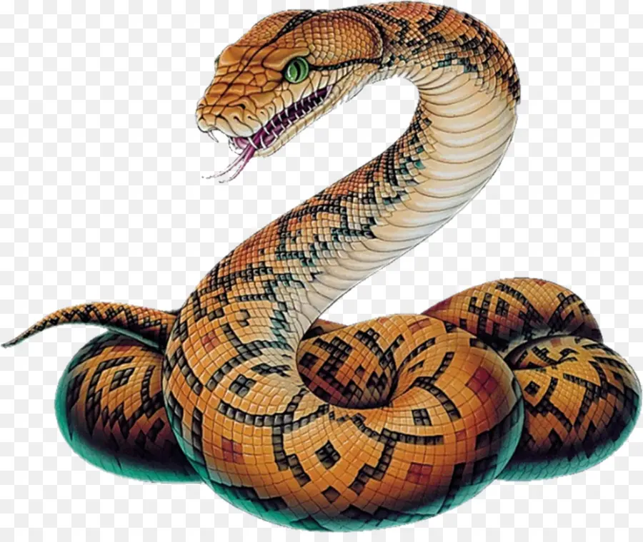 Cobra，Víboras PNG