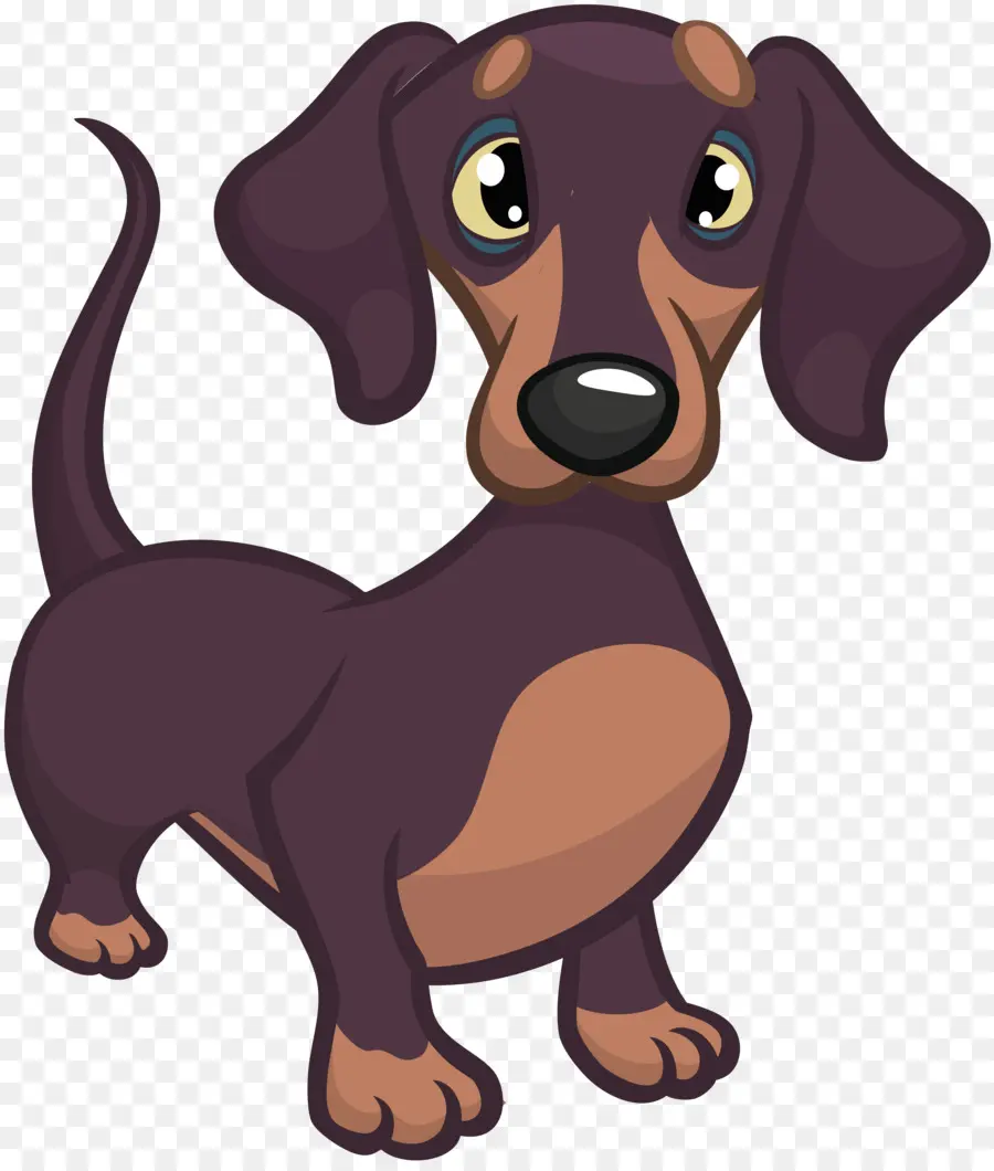 Dachshund，Filhote De Cachorro PNG