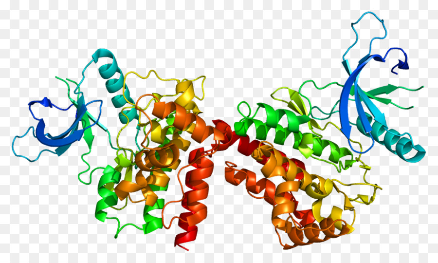 Janus Kinase 2，Janus Quinase PNG