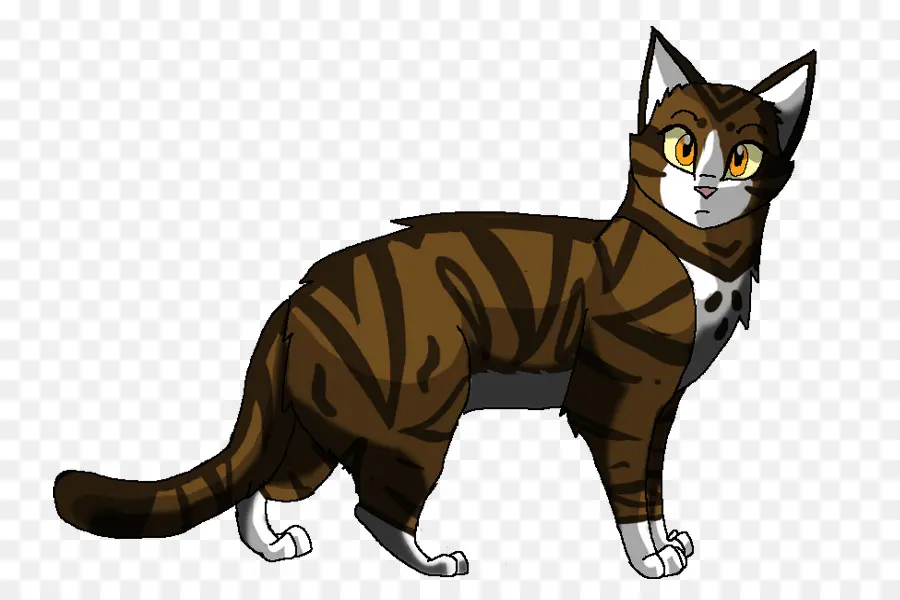 Gato，Leafpool PNG