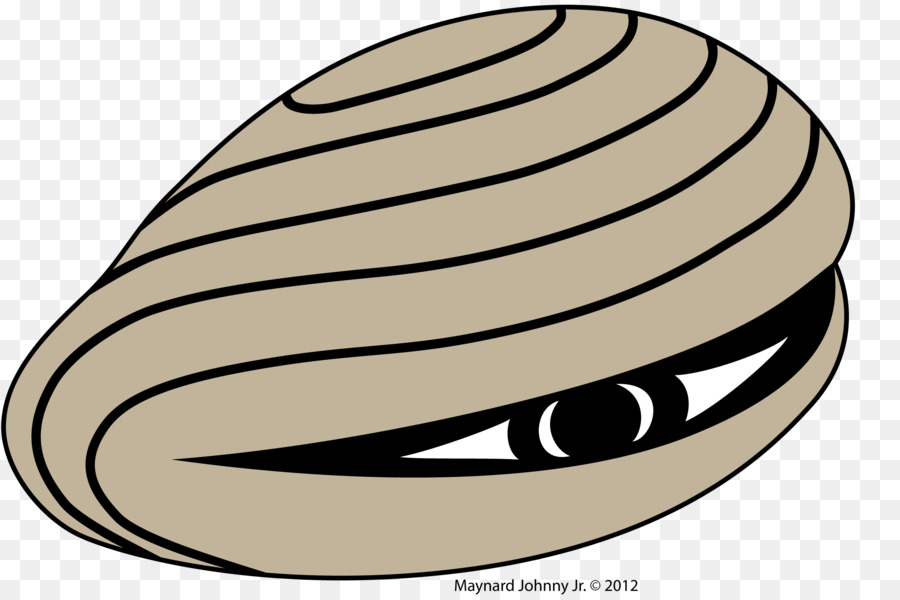 Clam，New England Clam Assar PNG