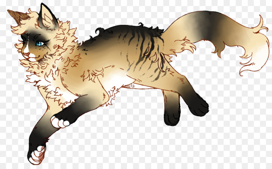 Gato，Cavalo PNG