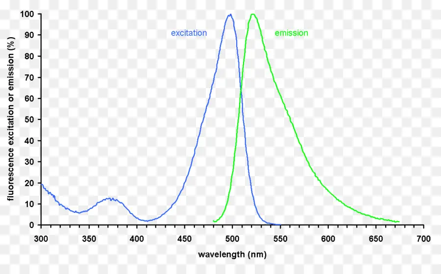 Sybr Green I，Espectro De Emissão PNG