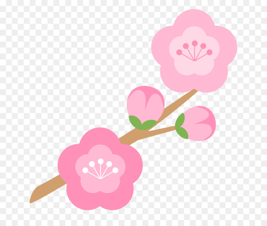 Flor，Florescer PNG