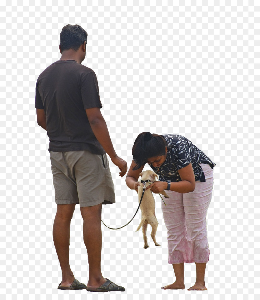 Pessoas Com Cachorro，Cachorro PNG