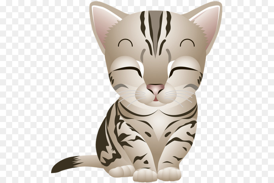 American Shorthair，British Shorthair PNG