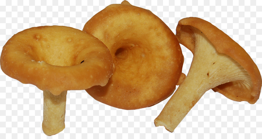 Alimentos，Chanterelle PNG