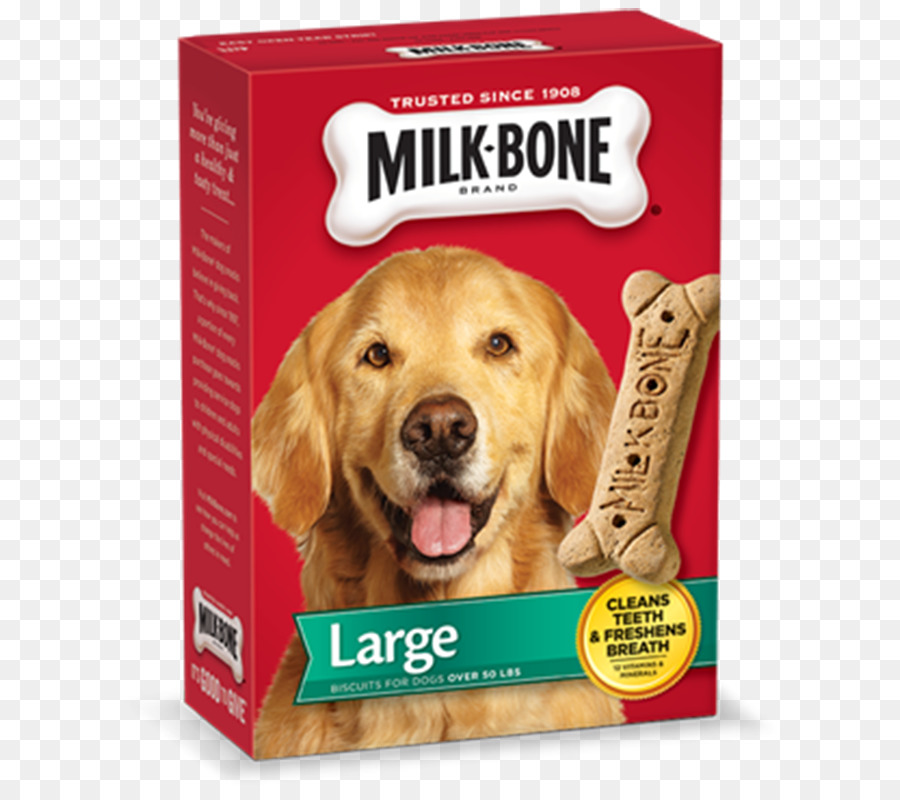 Cão，Biscoito De Cão PNG