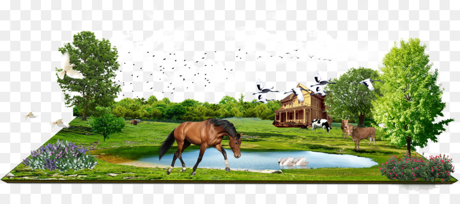 Cena De Fazenda，Cavalo PNG