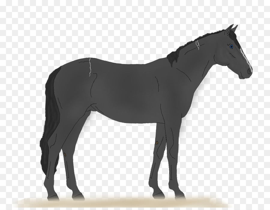 Cavalo，Cavalo De Aderência PNG
