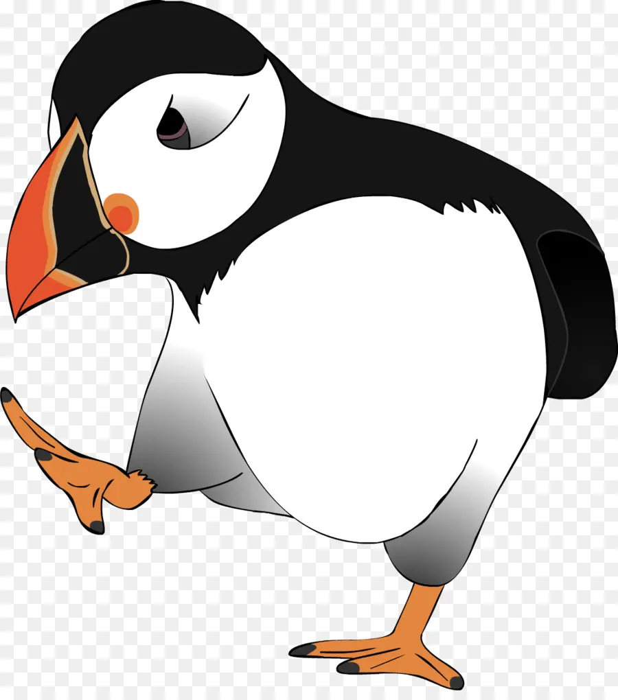 Aves，Penguin PNG