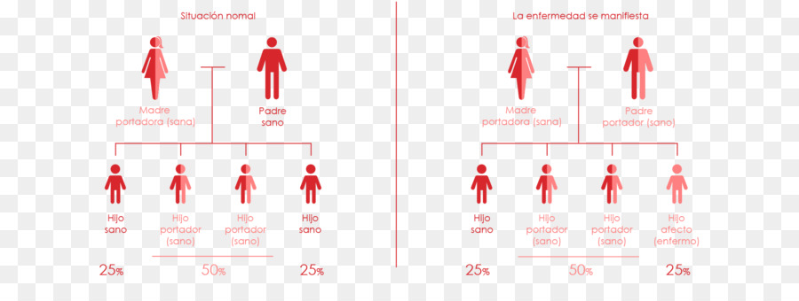 Marca，Diagrama De PNG