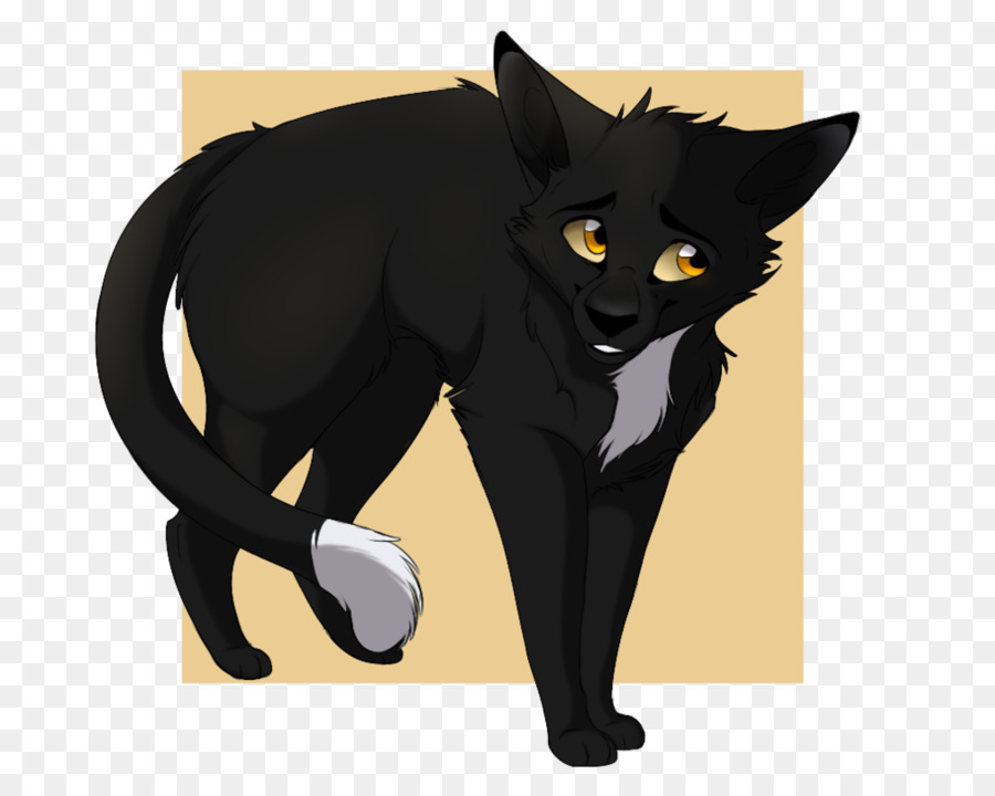 Gato Preto，Bicho De Estimação PNG