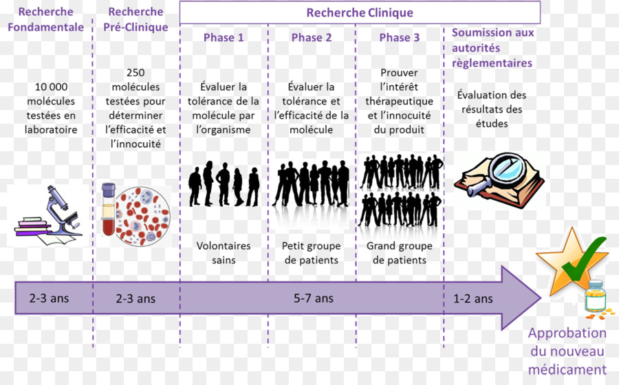 Droga Farmacêutica，Investigação Clínica PNG