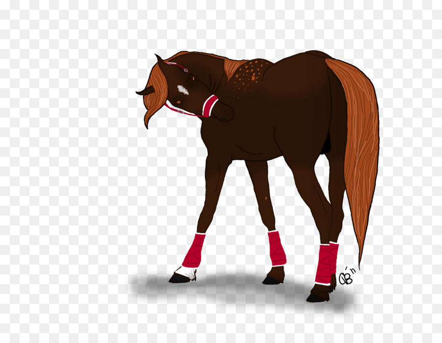 Cavalo，Potro PNG