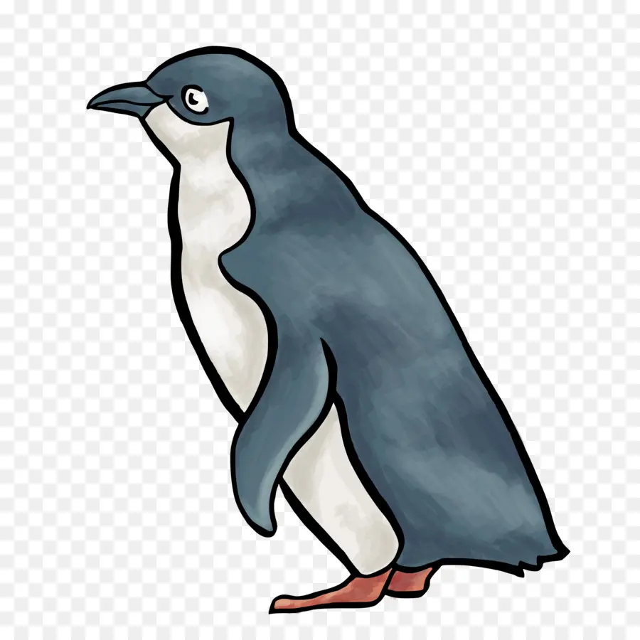 Penguin，Desenho PNG