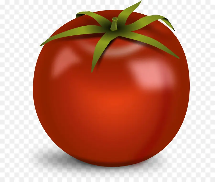 Tomate Vermelho，Fresco PNG