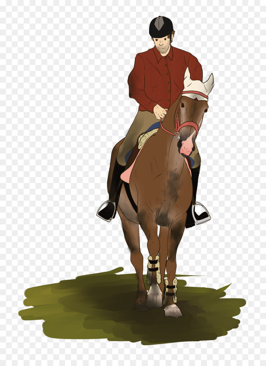 Cavalo，Equestre PNG