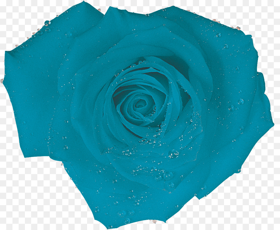 Rosa, Turquesa, Azul png transparente grátis